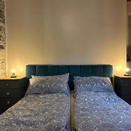 Hisa Gradnikova 度假居 托尔明