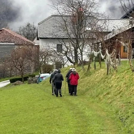 Hisa Gradnikova 度假居